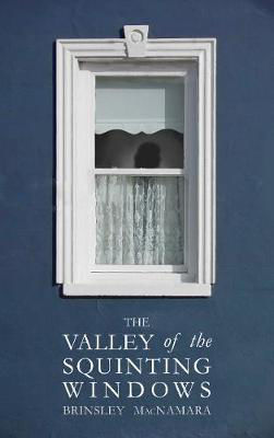 Picture of The Valley of the Squinting Windows