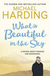 Picture of What is Beautiful in the Sky: A book about endings and beginnings