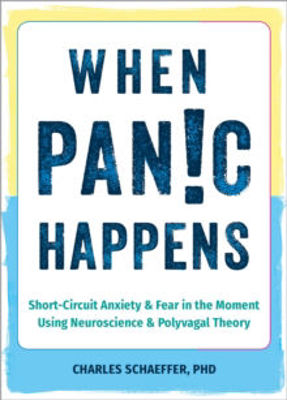 Picture of When Panic Happens: Short-Circuit Anxiety and Fear in the Moment Using Neuroscience and Polyvagal Theory